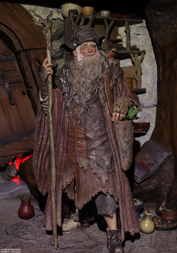020 Radagast in Rhosgobel.jpg
