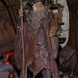 020 Radagast in Rhosgobel