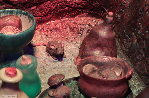 023 Radagast in Rhosgobel.jpg