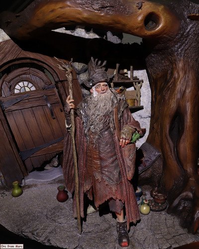 004 Radagast in Rhosgobel.jpg
