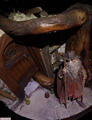 003 Radagast in Rhosgobel.jpg