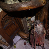 003 Radagast in Rhosgobel