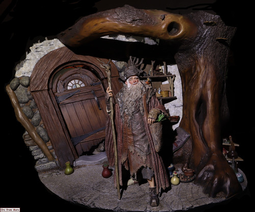 001 Radagast in Rhosgobel.jpg