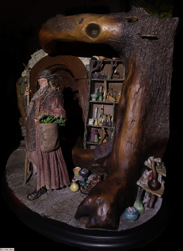 002 Radagast in Rhosgobel.jpg