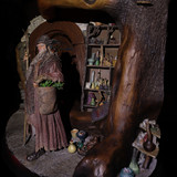 002 Radagast in Rhosgobel