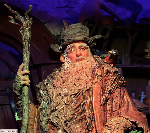 007 Radagast in Rhosgobel.jpg
