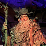 007 Radagast in Rhosgobel