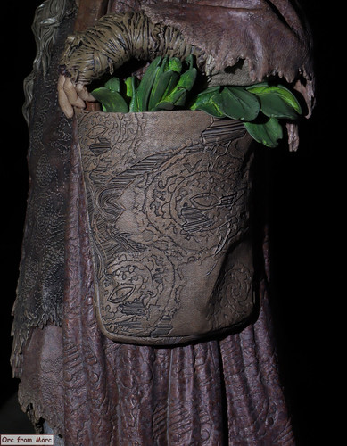 010 Radagast in Rhosgobel.jpg
