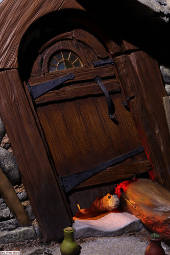 009 Radagast in Rhosgobel.jpg