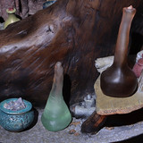 011 Radagast in Rhosgobel