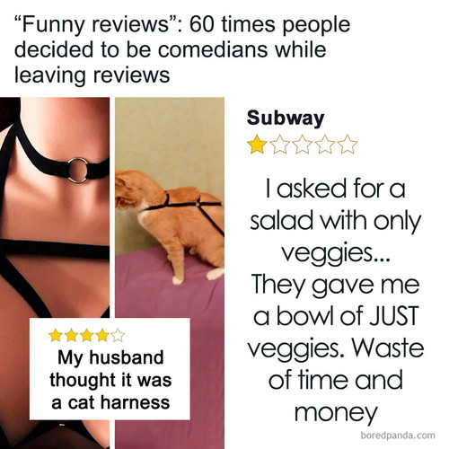 funny weird reviews.jpg