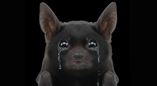 bandicam 2025 11 21 02 07 19 629.jpg