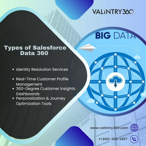 Types of Salesforce Data 360.jpg