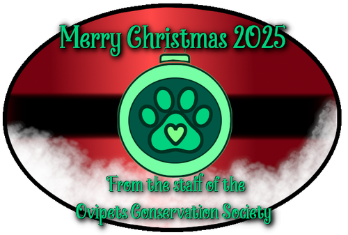 ocs christmas 2025.png