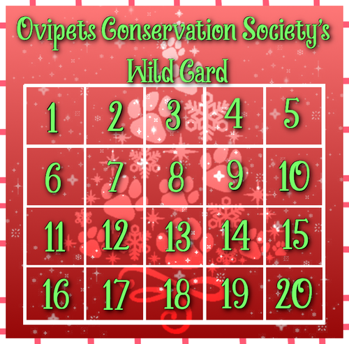 OCS WILD CARD CARD christmas.png
