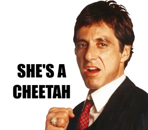 ezgif 879a5d91b822290a.webp