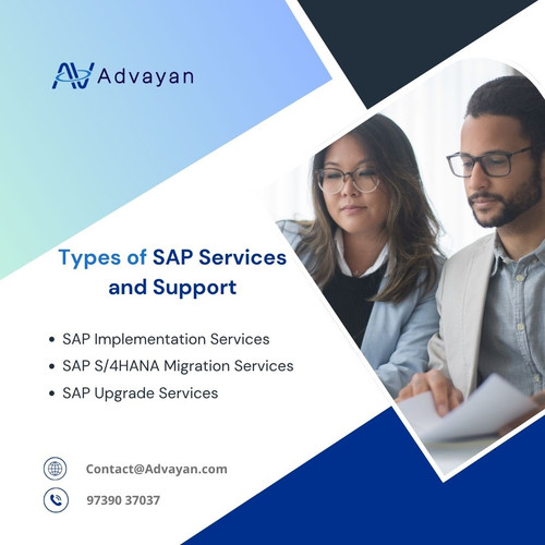 Types of SAP Services and Support.jpg