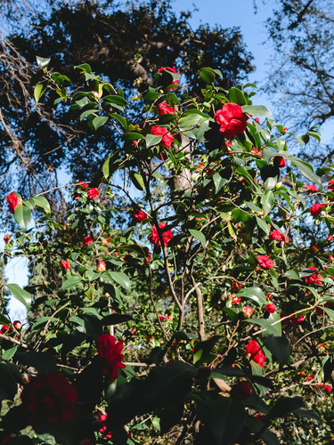 gavincroghan 1757969100 3722149436803068210 50328350639.jpg