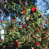 gavincroghan 1757969100 3722149436803068210 50328350639