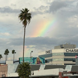 gavincroghan 1763227800 3766329001490114729 50328350639