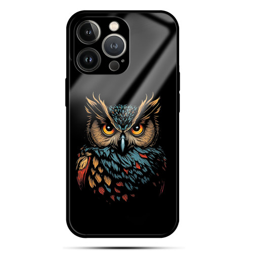 COLORFUL OWL.jpg