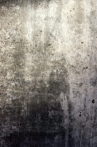 New Project (55).png