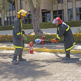 DIA DA BANDEIRA (36)