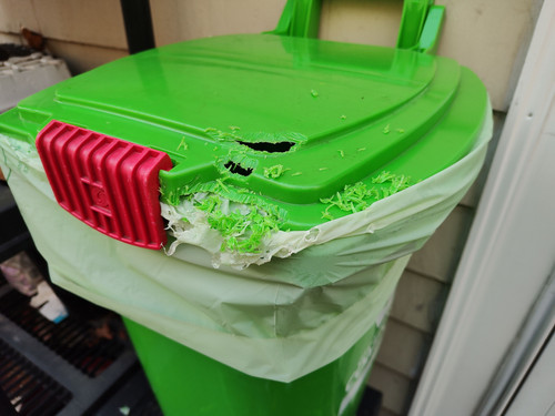 IMG 20251120 094839249