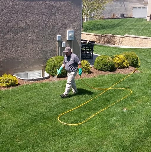 Winterizer Lawn Fertilizer in Overland Park – Strengthen Your Grass Before Winter Arrives.jpg
