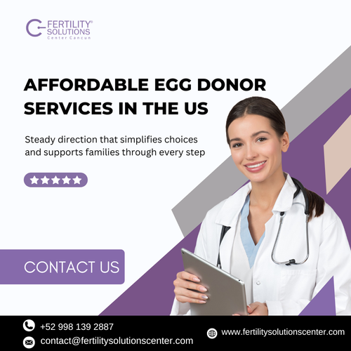 Affordable Egg Donor Services In The US.png