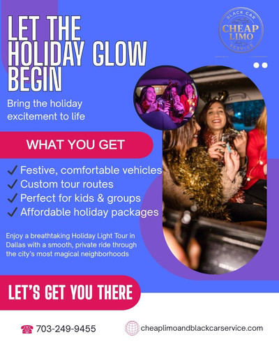 Holiday Light Tour in Dallas.jpg