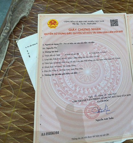 z7242954701526 d07fb8775c1b3b4ba0207fb89af6a2ca.jpg