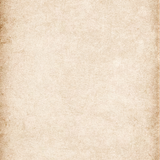 New Project (56).png