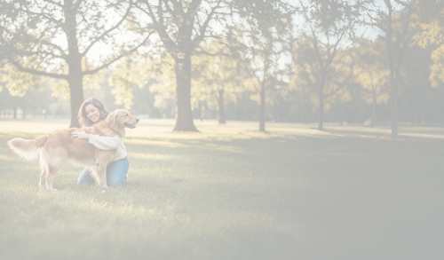 picwish 88462121 image1 1.png