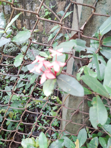 IMG 20210721 WA0078.jpg