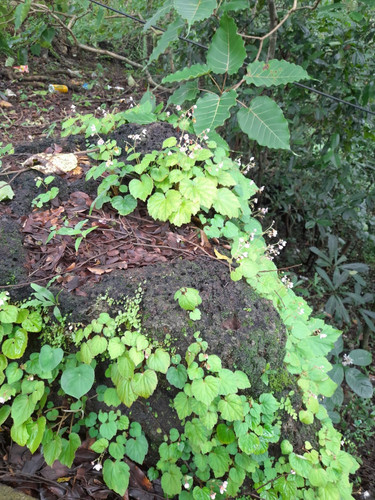 IMG 20210721 WA0083.jpg