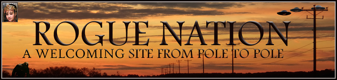 Rogue-Nation Discussion Board