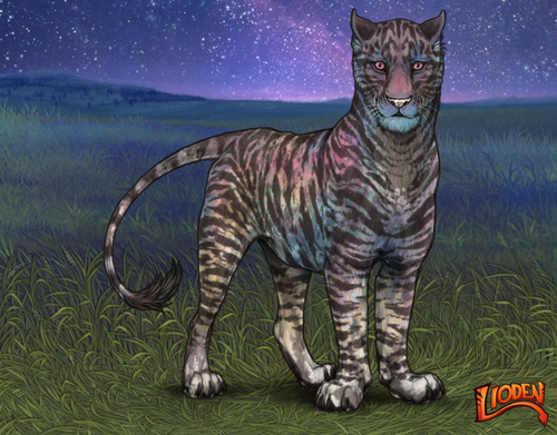 lioden wardrobe (35).png