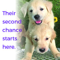 Their second chance starts here.jpg