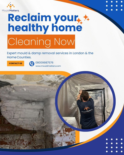 Reclaim Your Healthy Home with Mould Matters!.jpg