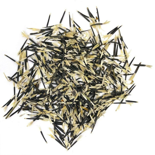 jignisha seeds marigold orange c.jpg