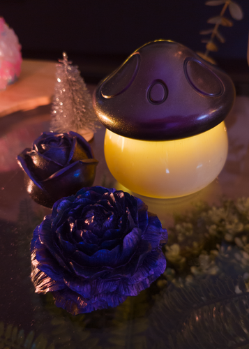 PXL 20251118 094401561.RAW 02.ORIGINAL.png