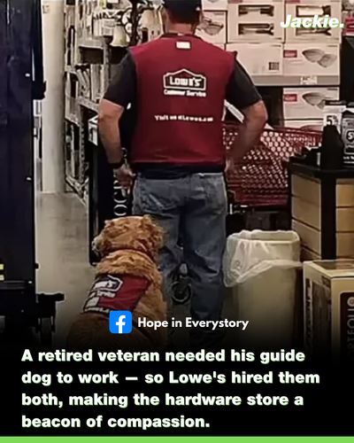 11.png