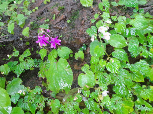 IMG 20210721 WA0129.jpg