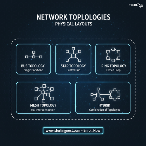 ccna network topologies.png