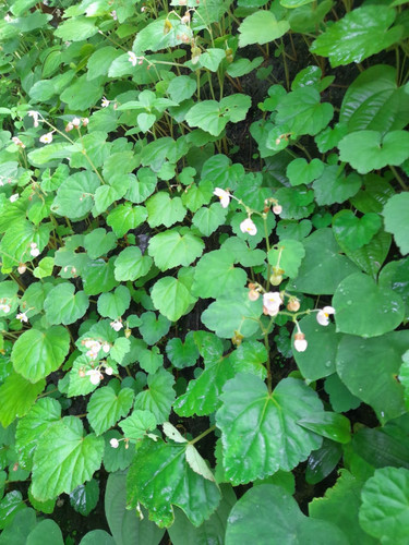 IMG 20210721 WA0067.jpg