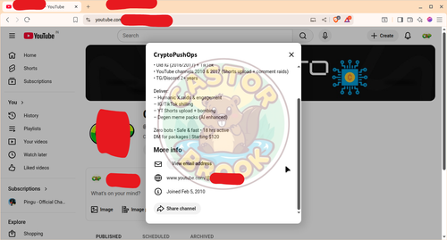 Youtube Channel 3.png