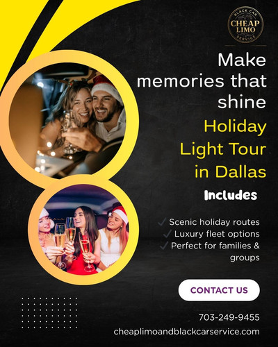 Holiday Light Tour in Dallas.jpg