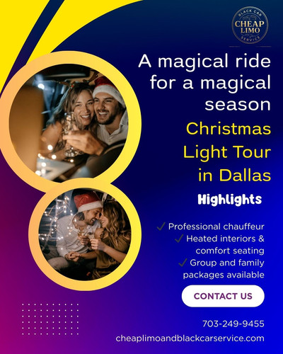 Christmas Light Tour in Dallas.jpg