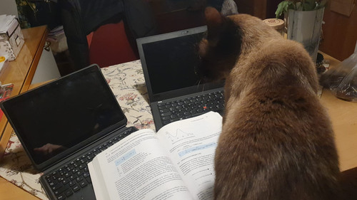 WhatsApp Image 2025 11 21 at 20.37.15